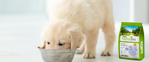 MAX IL CUCCIOLO CHE MANGIA NATURINA