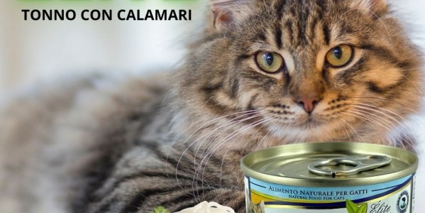 TONNO CON CALAMARI
